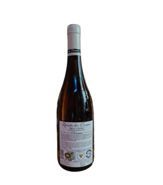 Quinta dos Termos - Reserva Branco 2021 - Beira Interior DOC